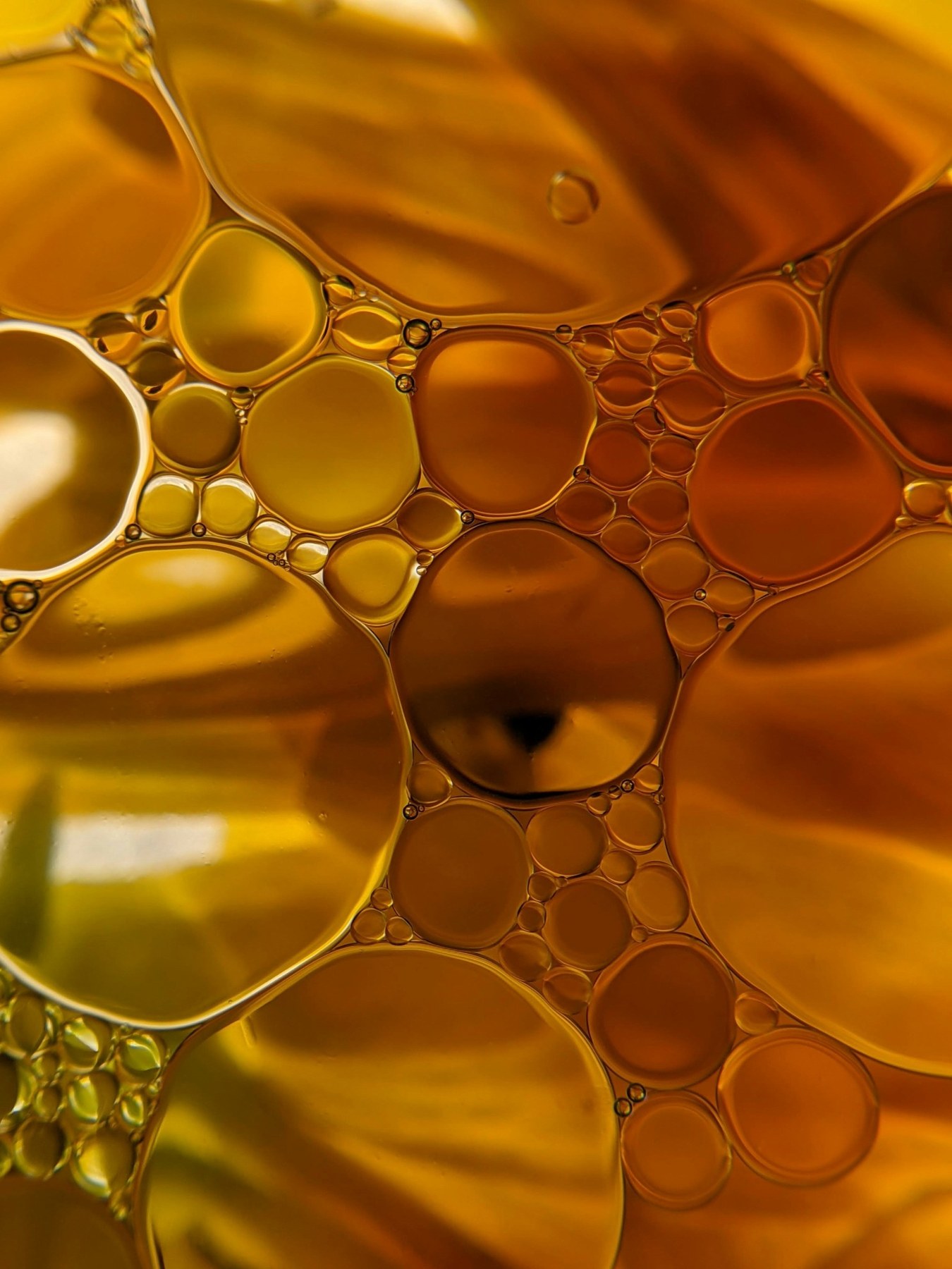 Amber oil bubbles in a golden close-up